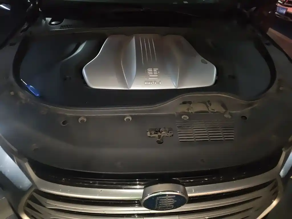 BYD Tang New Energy — миниатюра 16