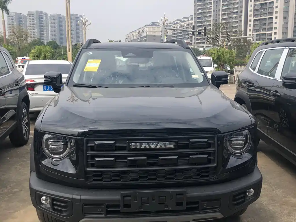 HAVAL BIG DOG