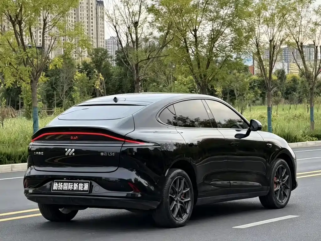IM IM LS6 — миниатюра 9