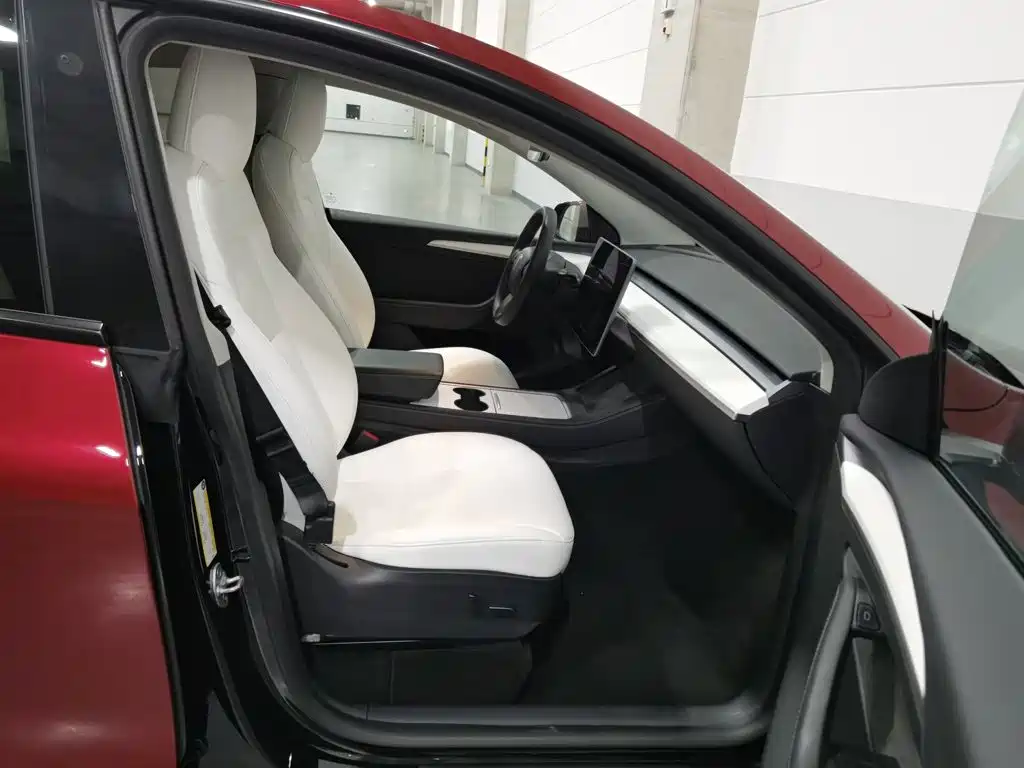 Tesla Model Y — миниатюра 23