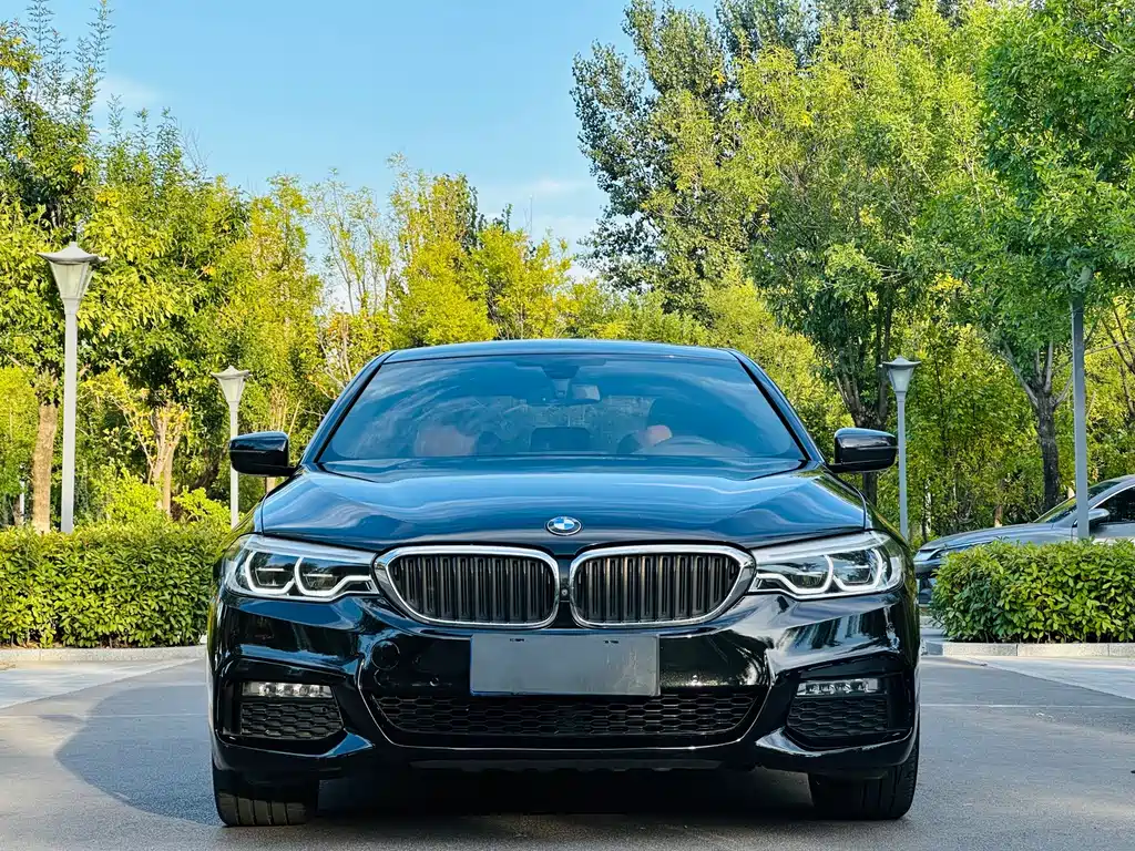 BMW 5 Series — миниатюра 2