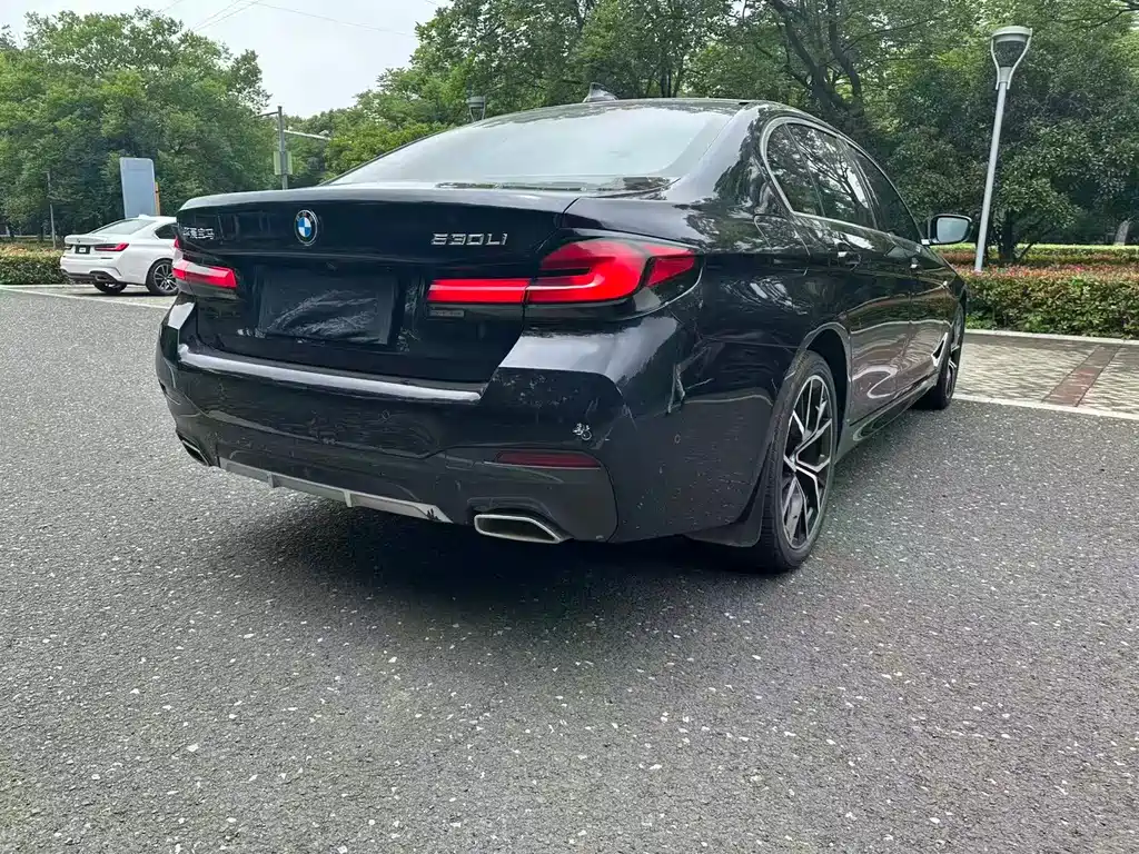 BMW 5 Series 5 2022 530Li Premium M Sport