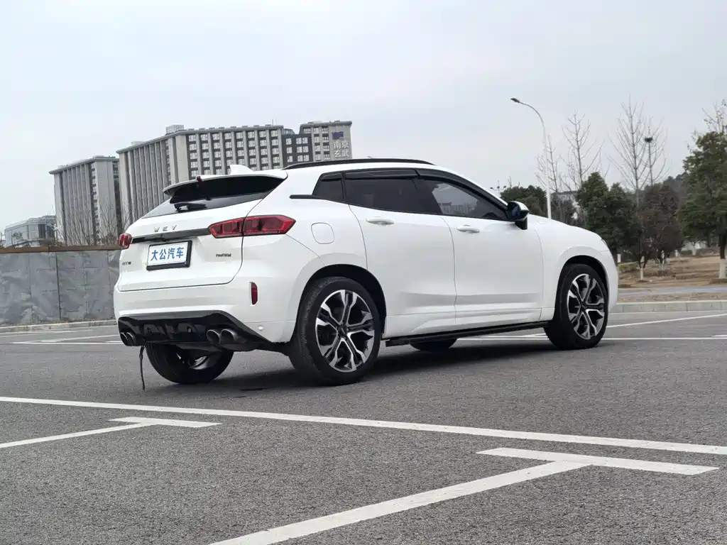 WEI PAI WEI BRAND VV7