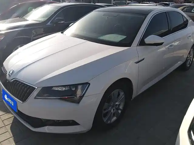 SKODA SPEED PIE 2017