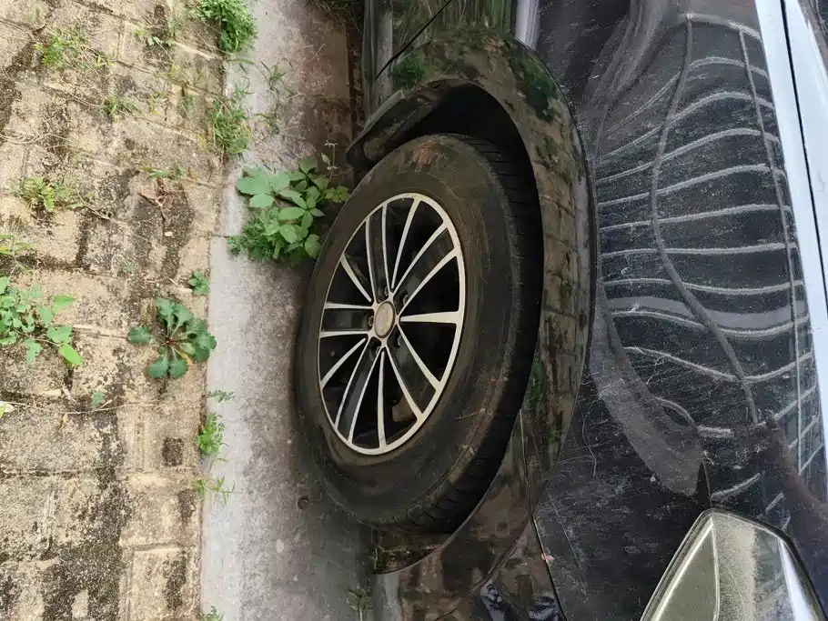 Volkswagen Jetta — миниатюра 6
