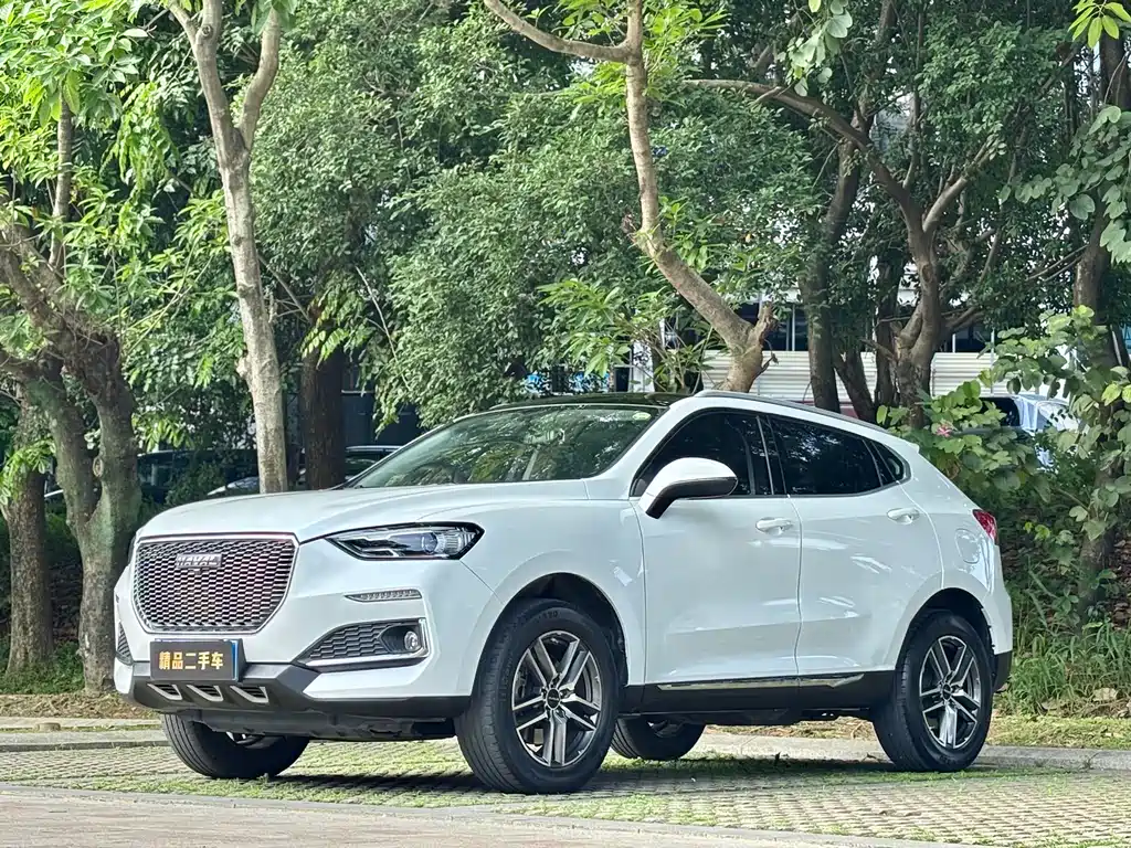Haval F5 2020