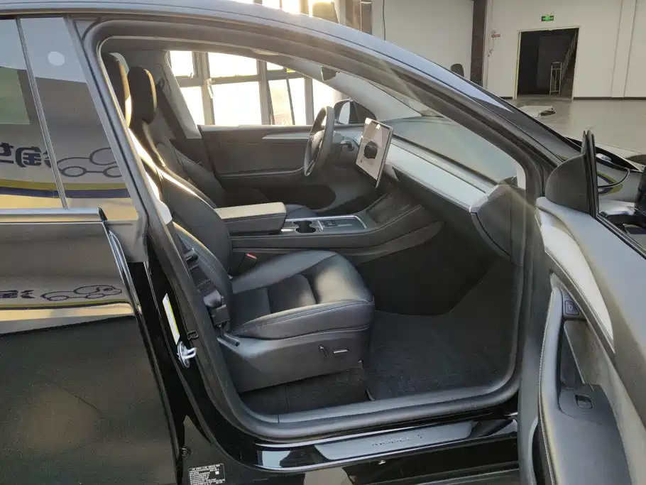 Tesla Model Y — миниатюра 8