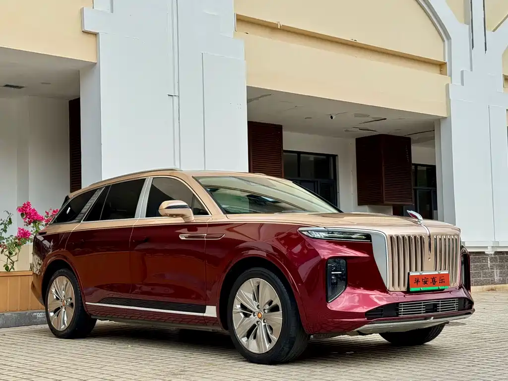 Hongqi HONGQI E HS9