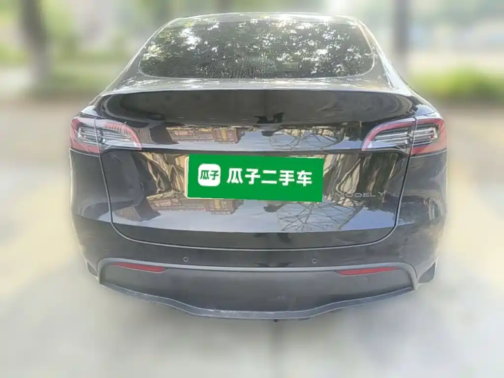 Tesla Model Y — миниатюра 8