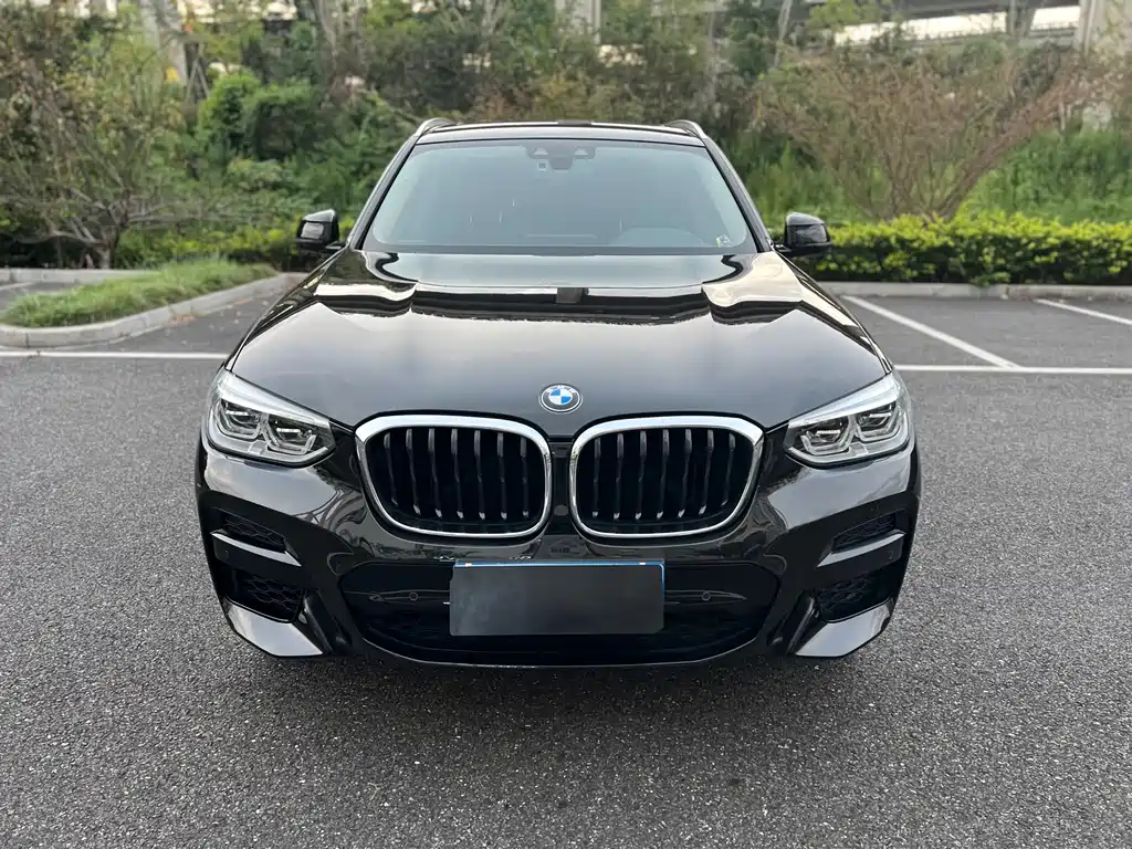 BMW X3 — миниатюра 2