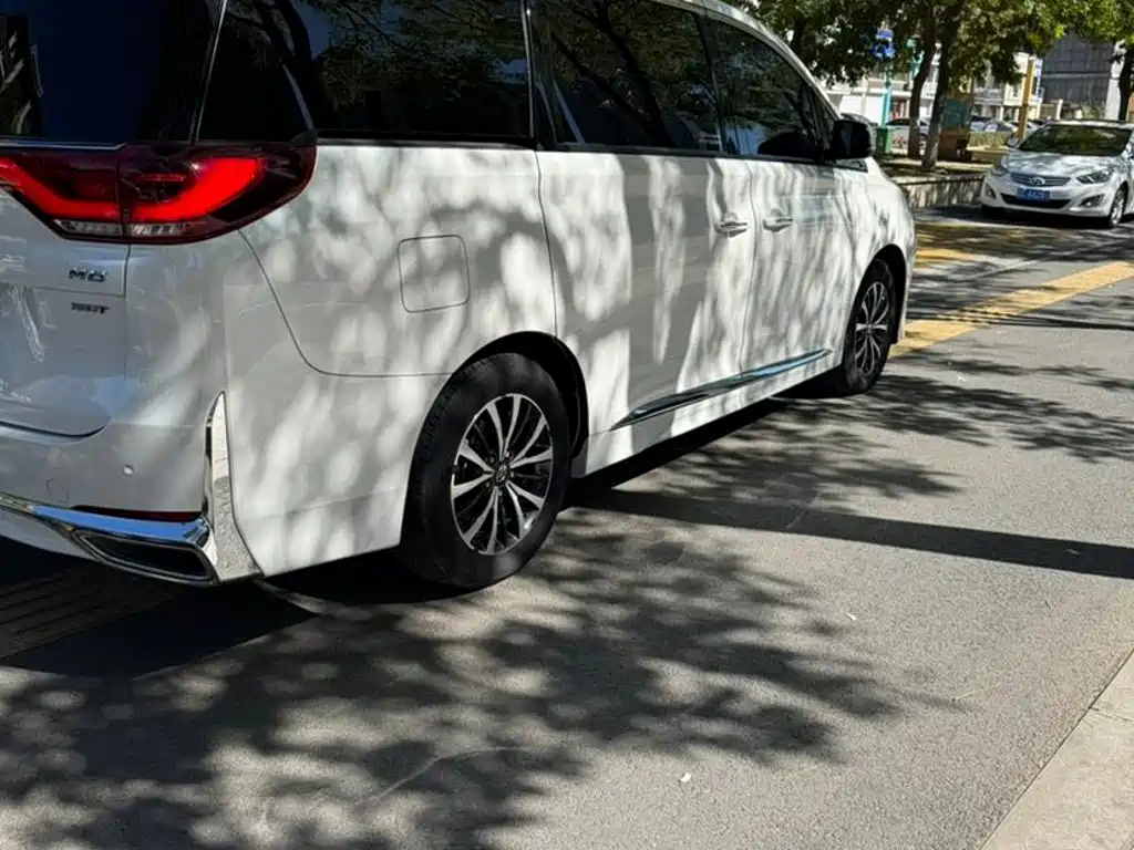 GAC Motor Trumpchi M8 — миниатюра 6