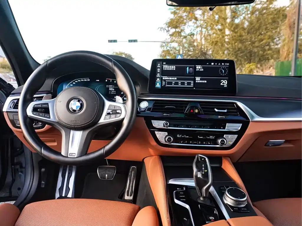 BMW 5 Series (Import) — миниатюра 16