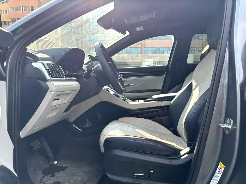 BYD SONGJIANG NEW ENERGY