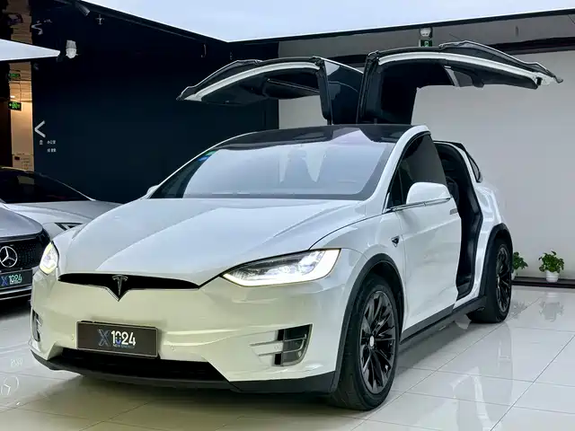 TESLA MODEL X 2017