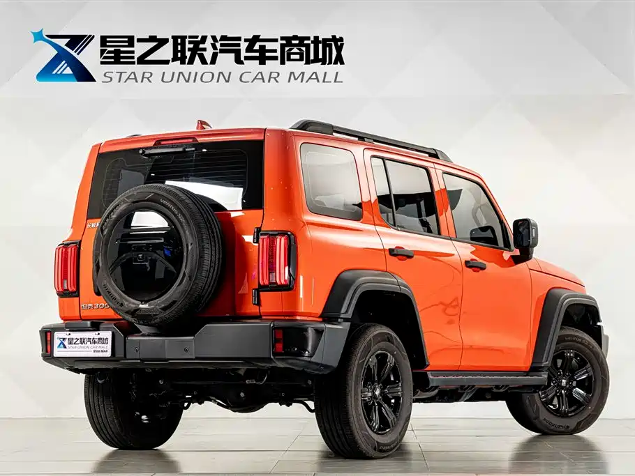 Tank 300 2024 2.0T