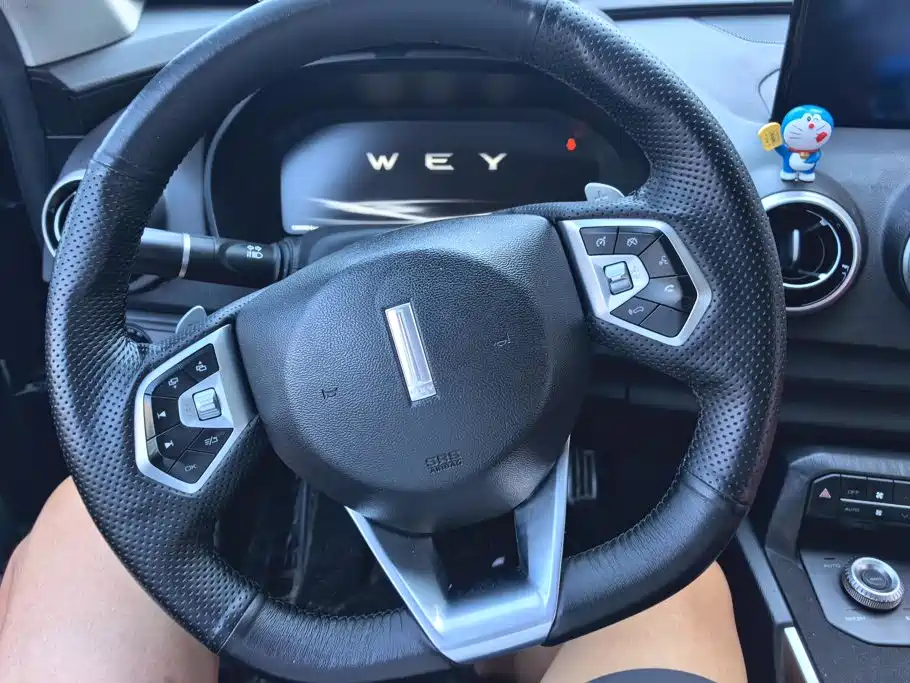 Wey Wey P8 — миниатюра 15