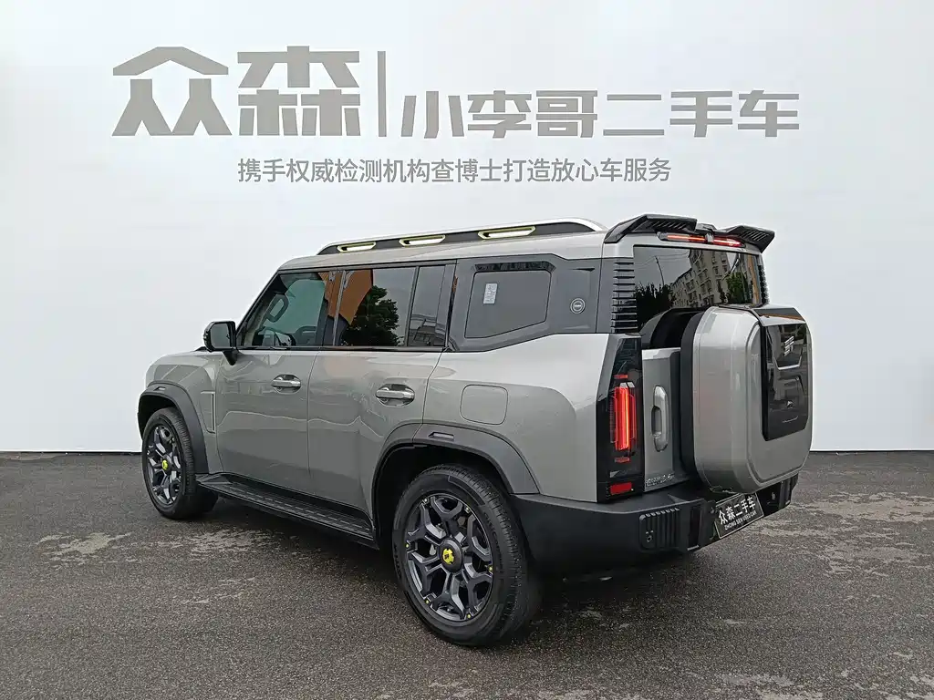 Shanhai Traveller C-DM — миниатюра 4