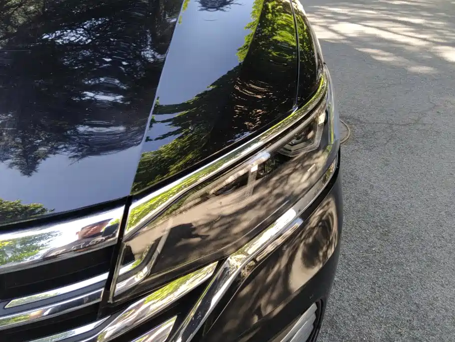 Volkswagen Viloran — миниатюра 5