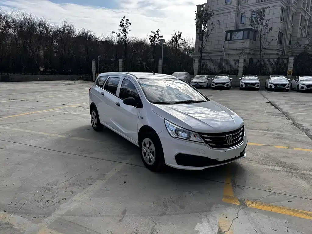 BAOJUN 310W