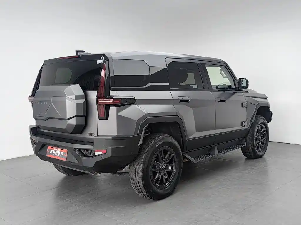 Mengshi Mengshi 917 — миниатюра 2