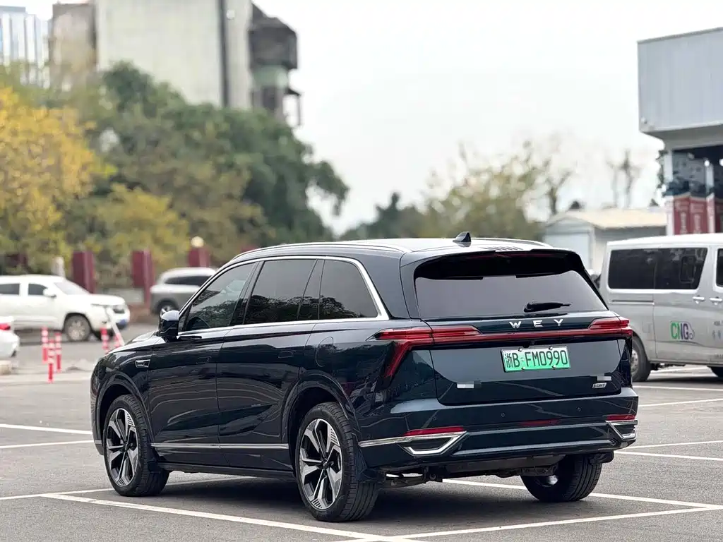 WEI PAI WEI BRAND BLUE MOUNTAIN