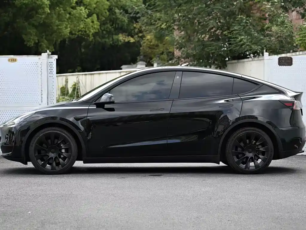 Tesla Model Y — миниатюра 4