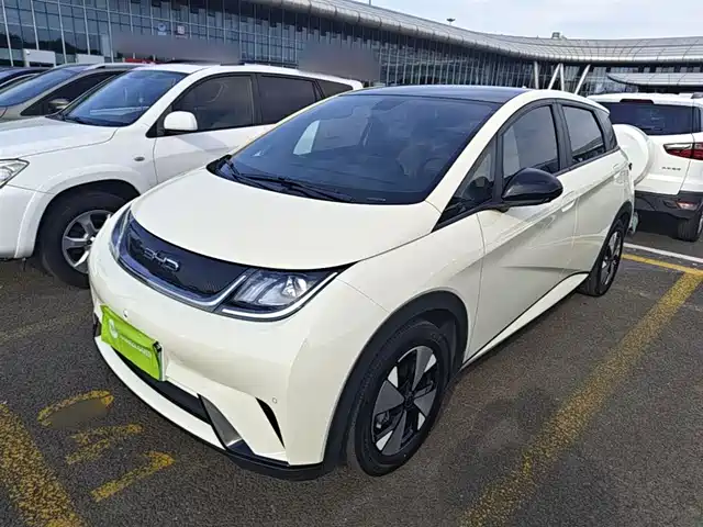 2024 BYD Dolphin