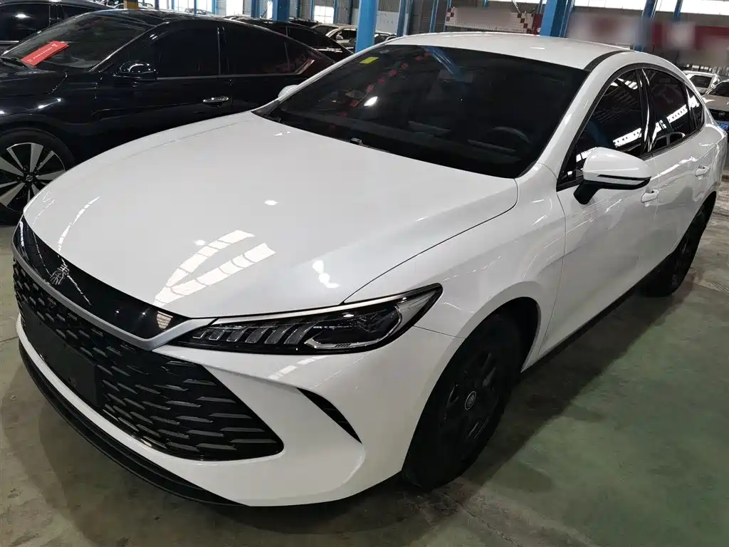 Byd Qin PLUS 2025