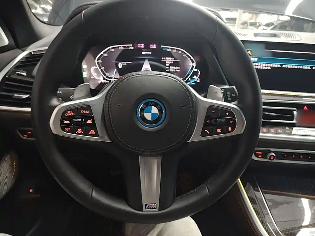 BMW X5 New Energy (Import) — миниатюра 11