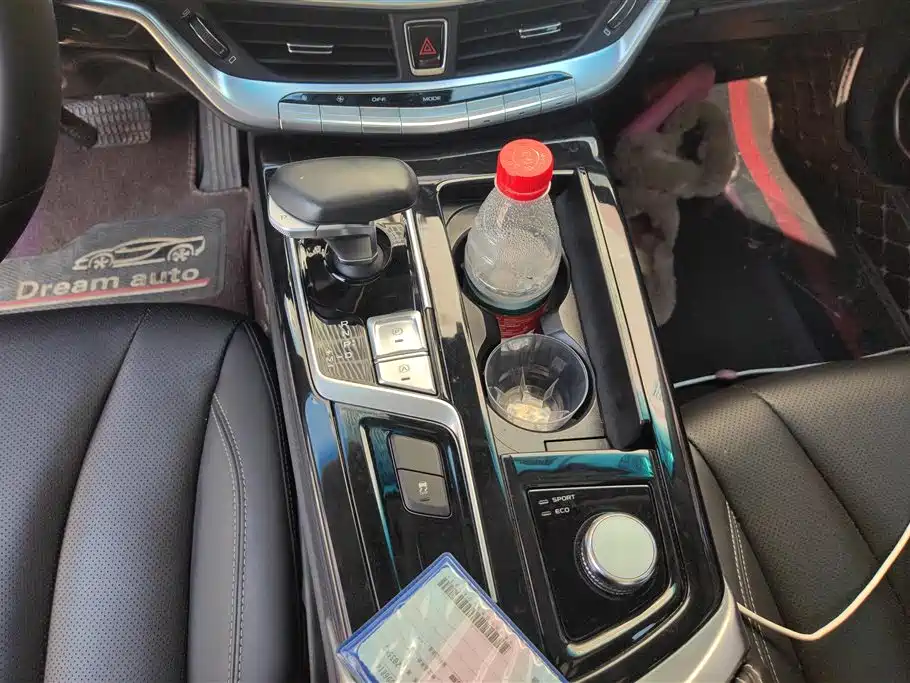 GEELY AUTOMOBILE BORUI