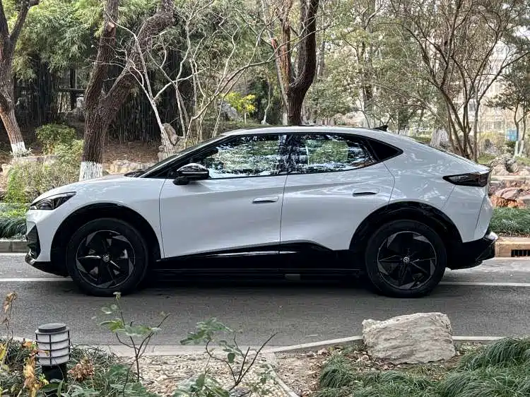 VOLKSWAGEN WITH THE CROWD 06