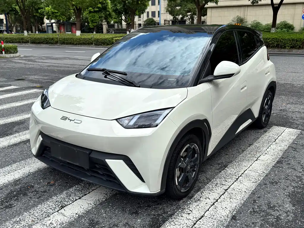 BYD Seagull