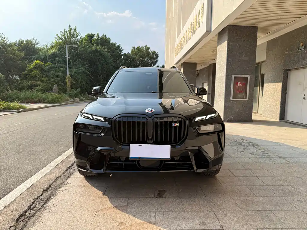 BMW X7 — миниатюра 2