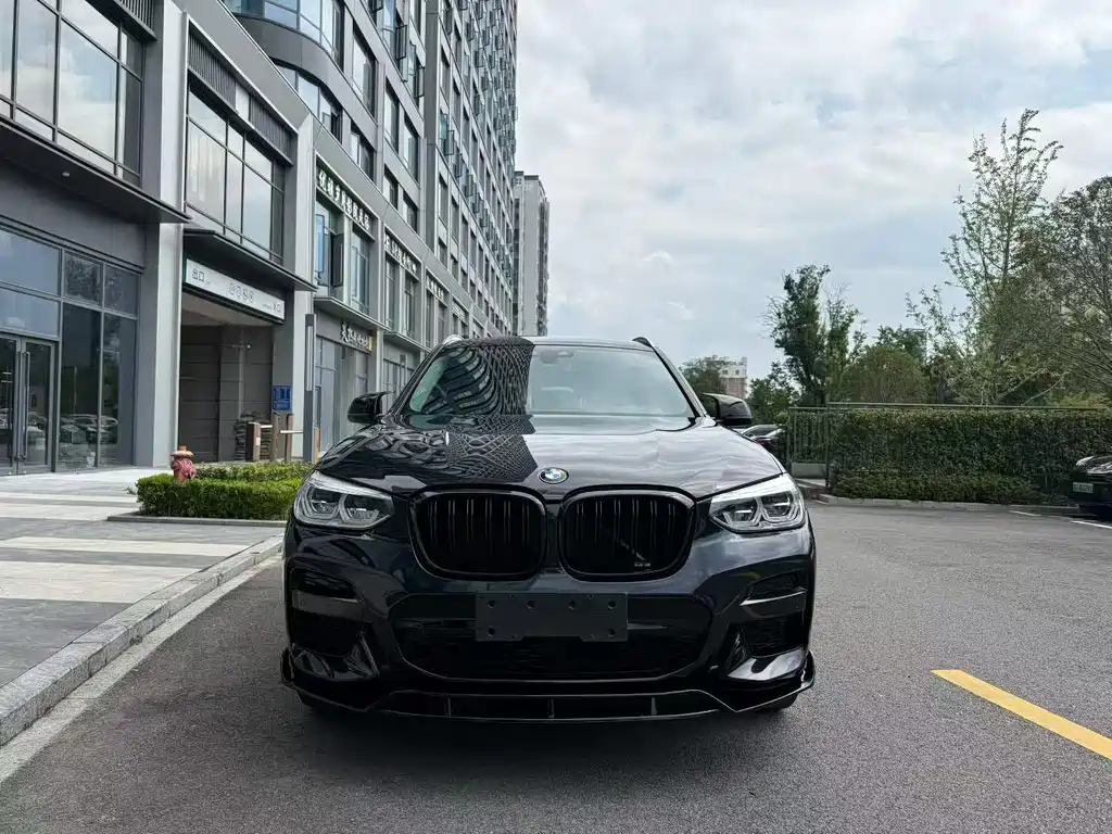 BMW X3 — миниатюра 2