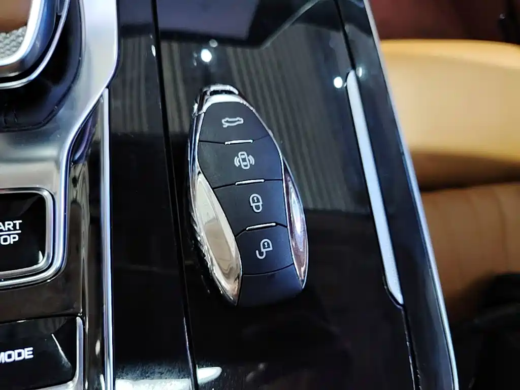 Hongqi H9 2024 2.0T