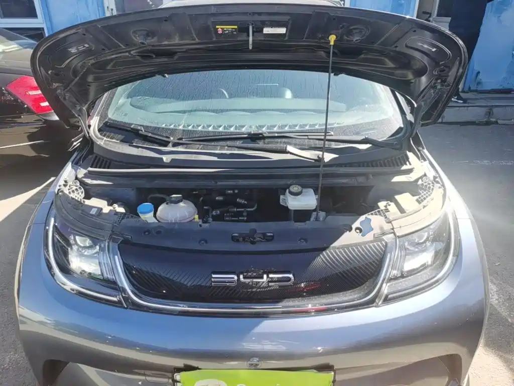 BYD Dolphin — миниатюра 20