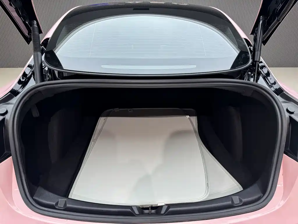 Tesla Model 3 2021 3D1