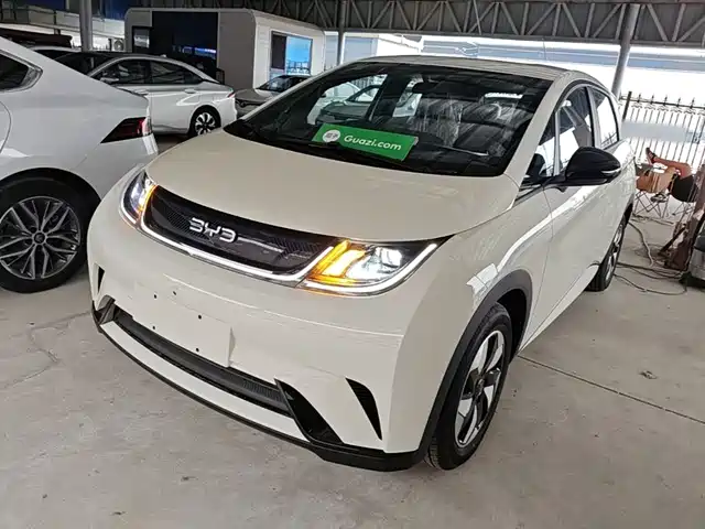 2026 BYD Dolphin