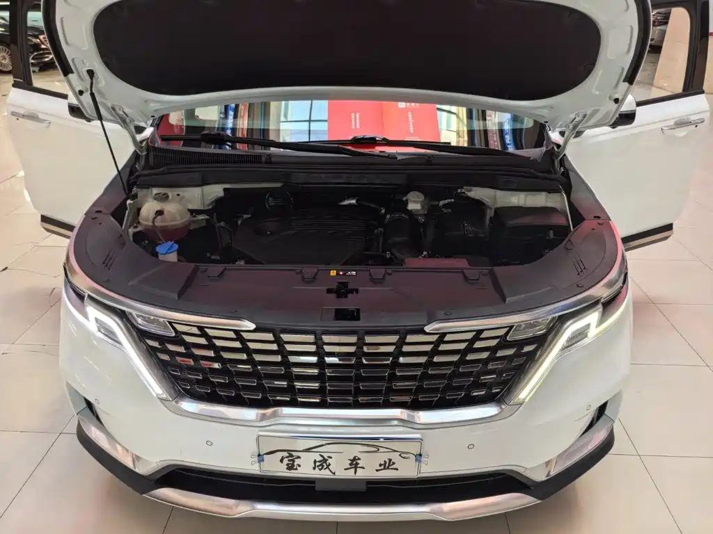 Kia Carnival — миниатюра 25