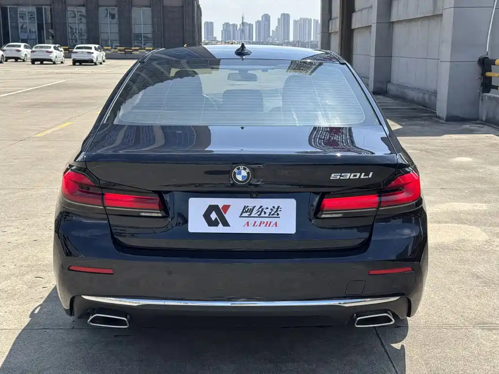 BMW 5 Series 5 2021 525Li Luxury