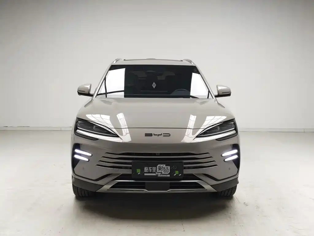 BYD PLUS New Energy — миниатюра 2