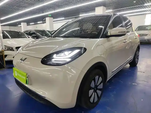 2025 Wuling Motors Binguo