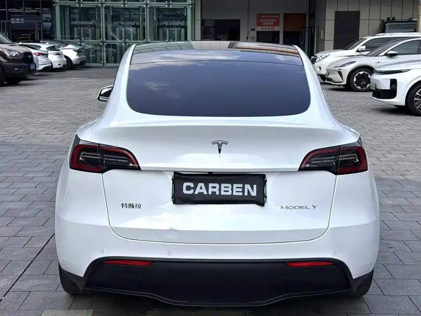 Tesla Model Y — миниатюра 8