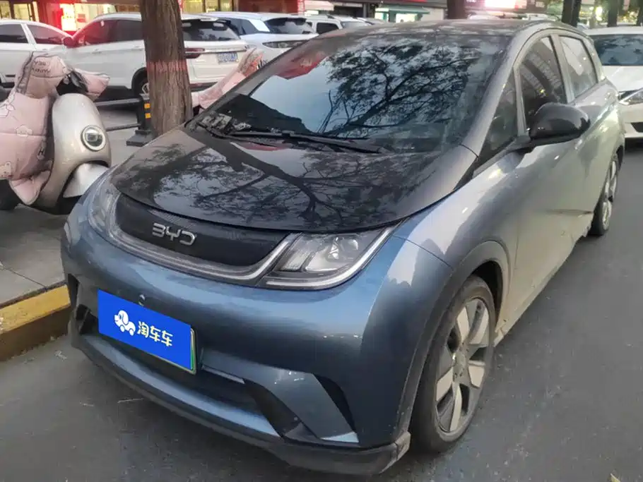 BYD DOLPHIN