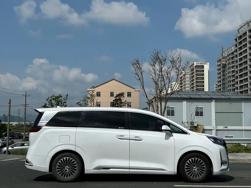 Denza Denza D9 — миниатюра 5