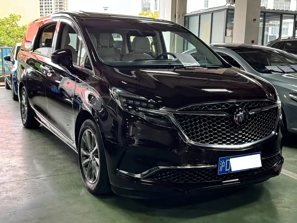 Buick GL8 — миниатюра 3