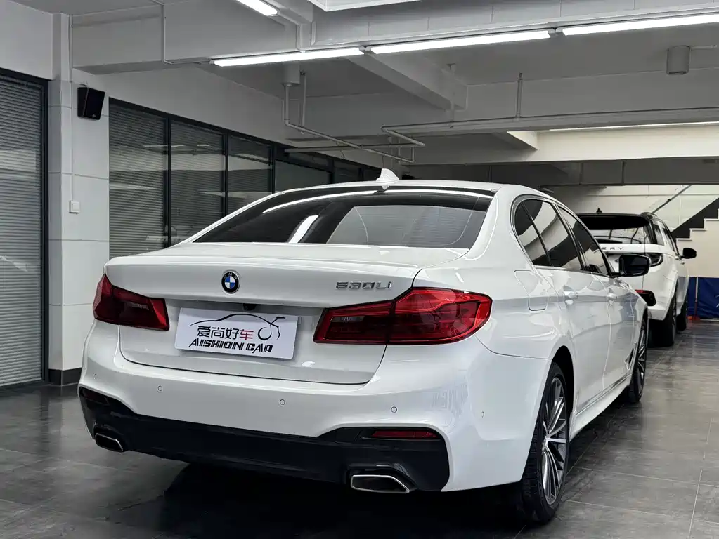 BMW 5 Series 5 2020 530Li Premium M Sport