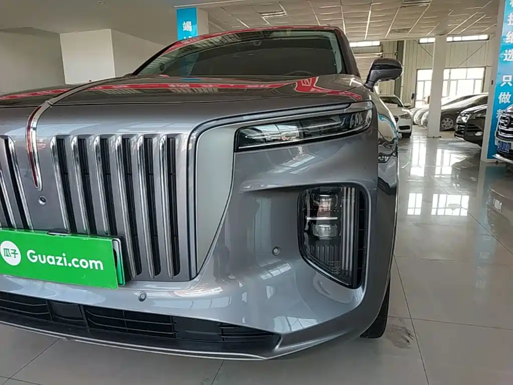 Hongqi Hongqi E-HS9 — миниатюра 24