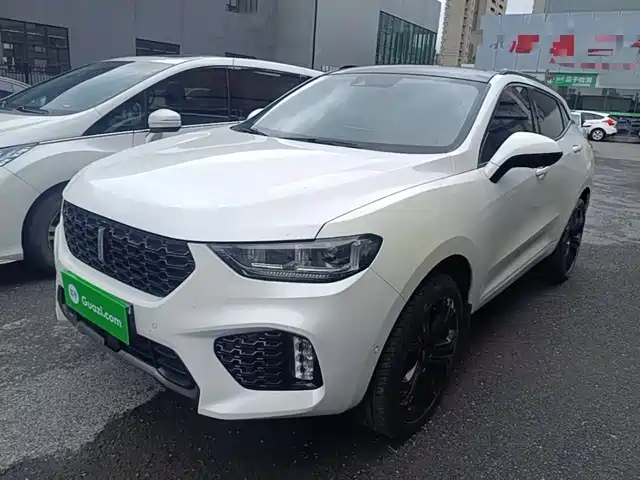 2019 Wey VV5
