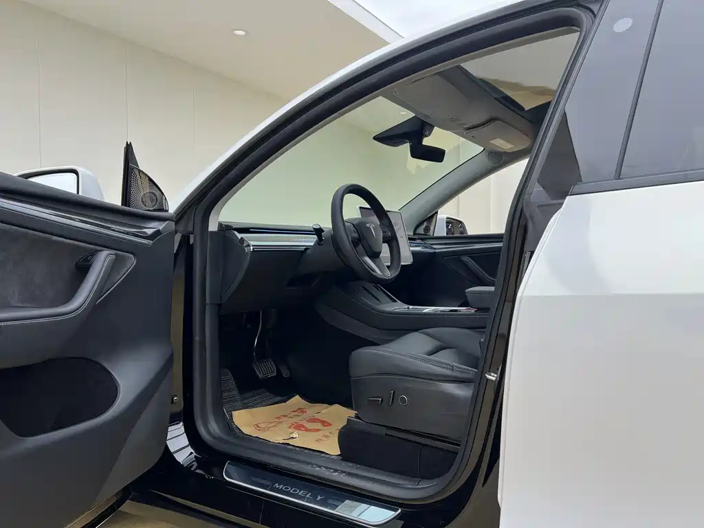 Tesla Model Y — миниатюра 8